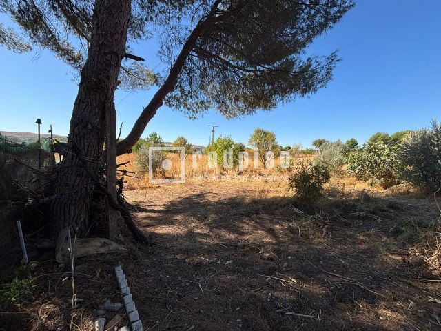 Casa en venta  Chinchón  60/67