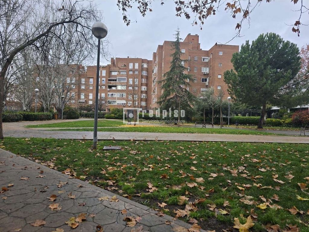 Piso en venta en Torrejón De Ardoz, Madrid 30/30