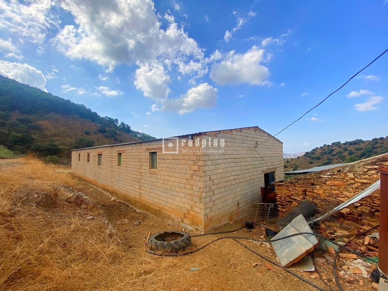 Terreno en venta  calle Diseminados, Casabermeja, Málaga  1/1