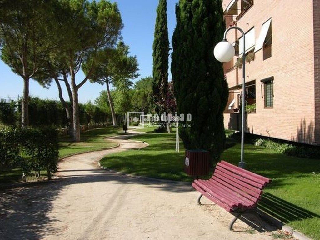 Piso en alquiler en Pozuelo De Alarcón, Madrid 15/19