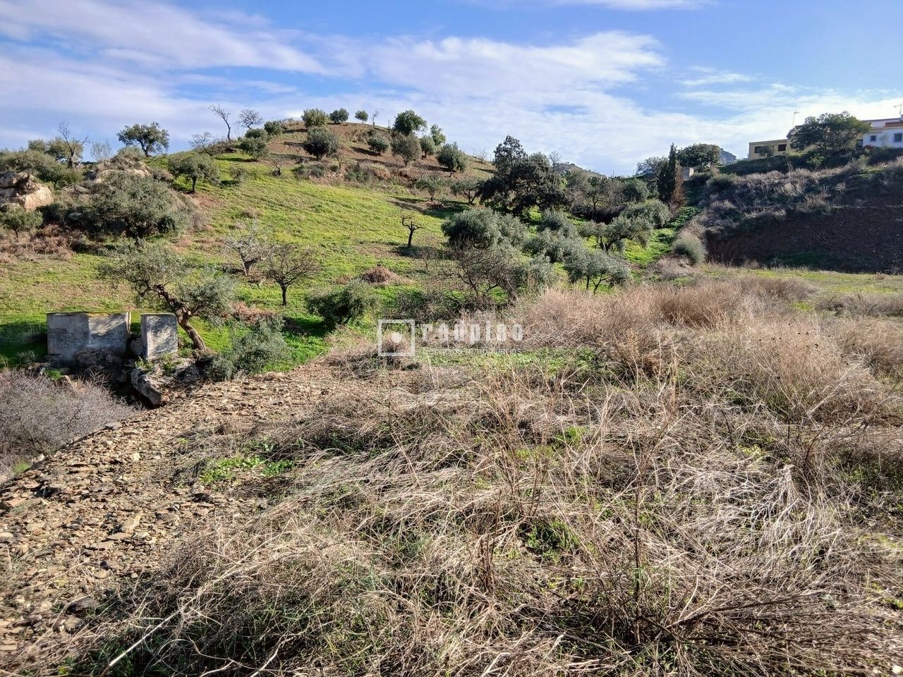 Terreno en venta en calle Campanillas Los Núñez, Campanillas, Málaga 2/9