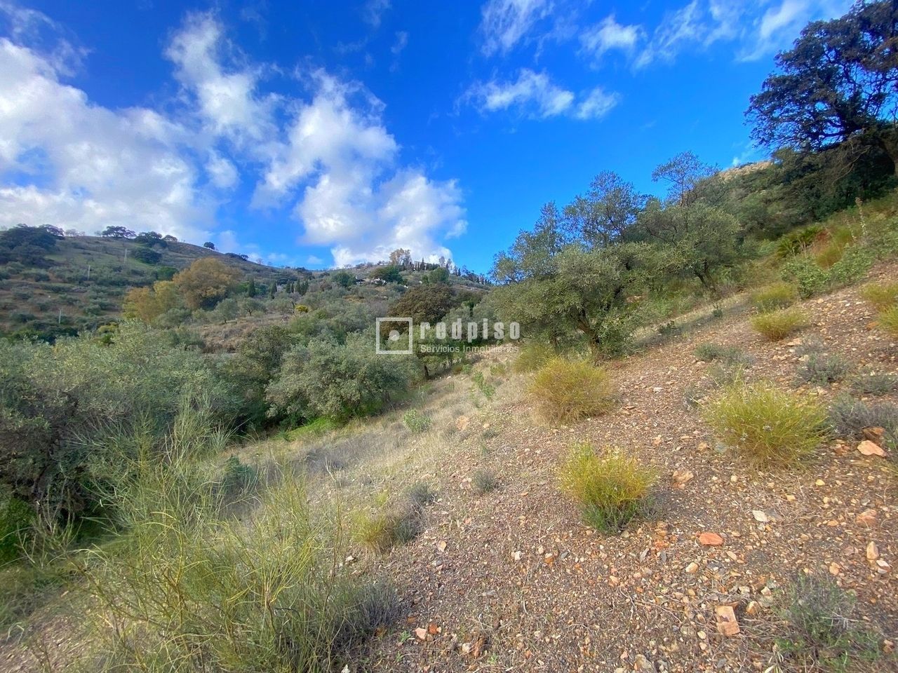 Terreno en venta en calle Polígono 10, Casabermeja 5/19