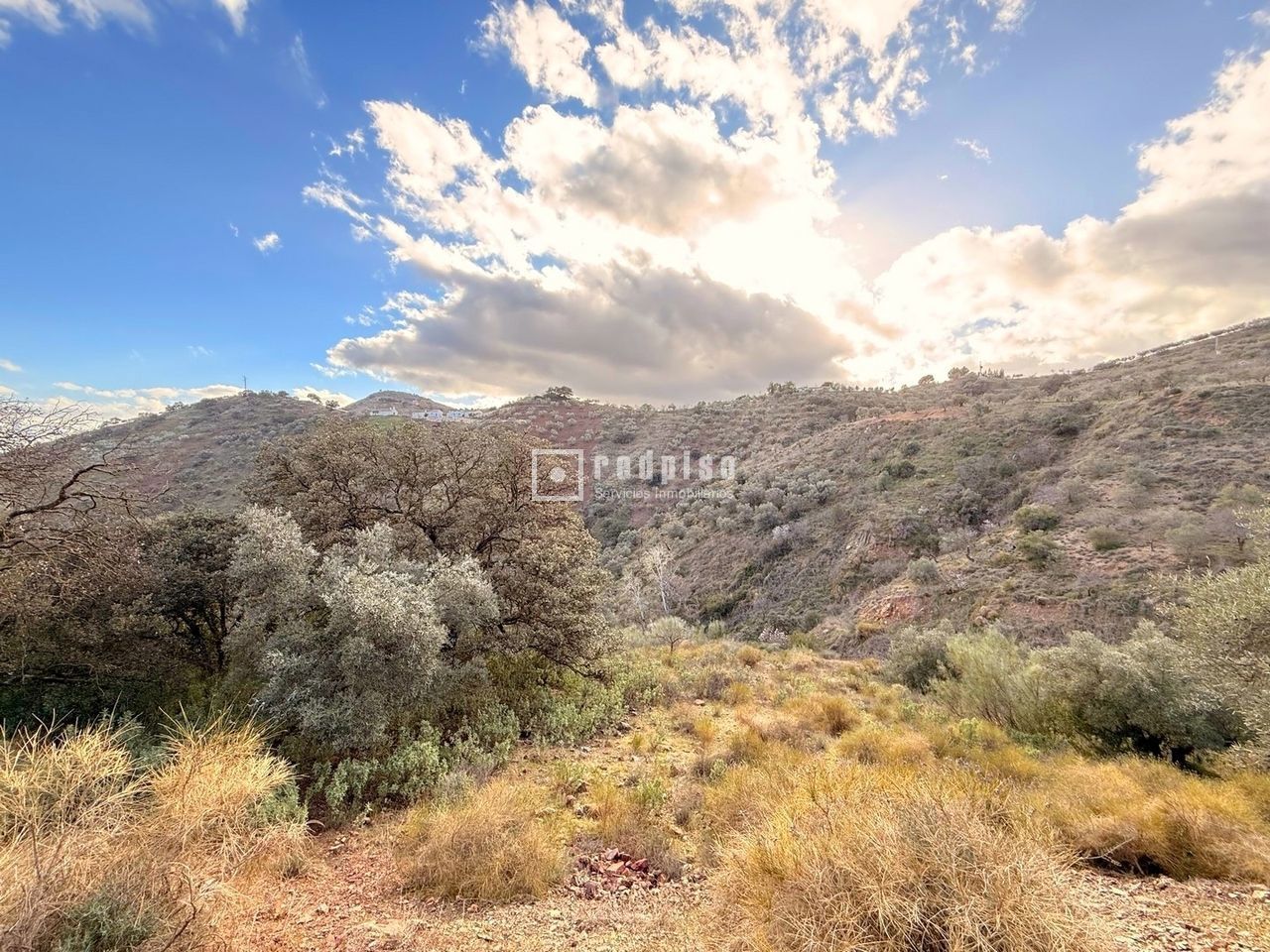 Terreno en venta en calle Polígono 10, Casabermeja 9/19