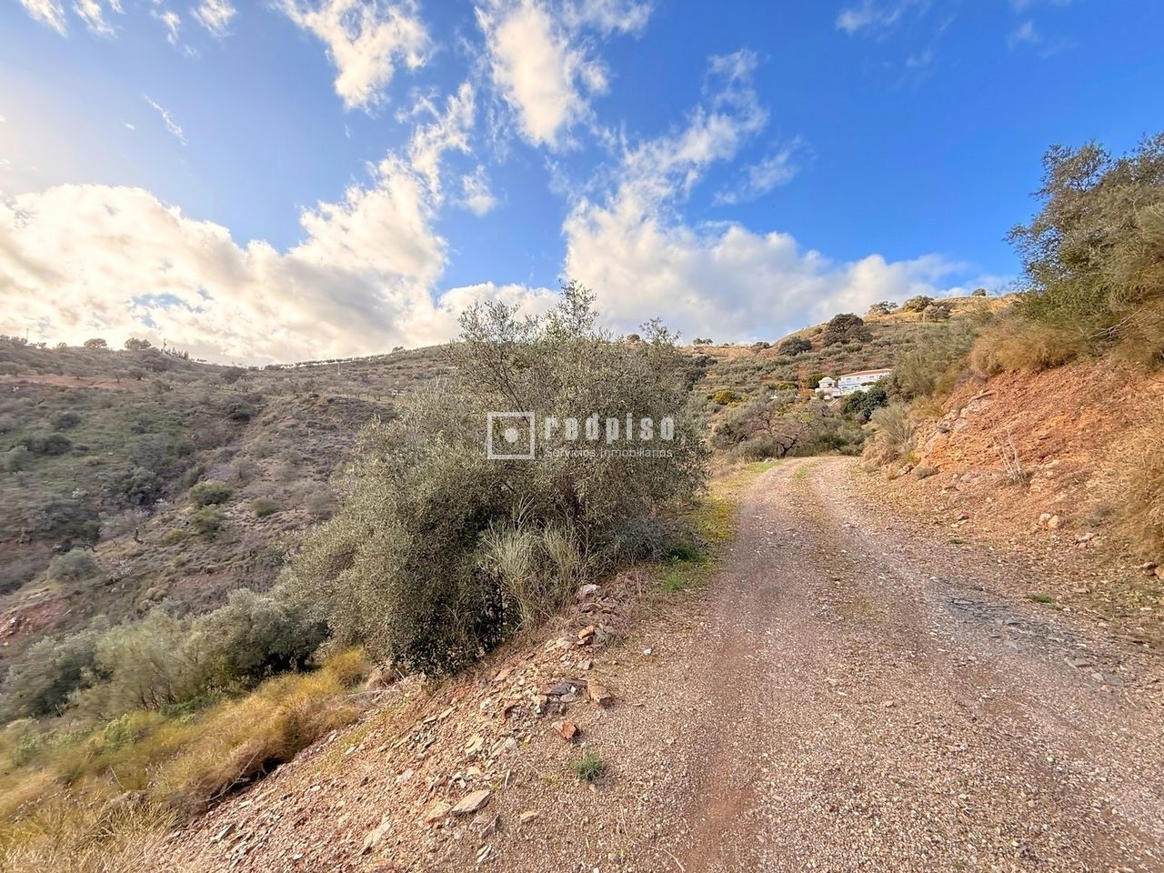 Terreno en venta  calle Polígono 10, Casabermeja  1/1