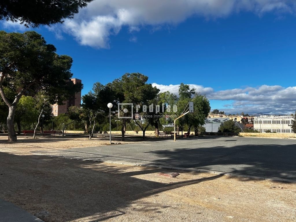 Piso en venta en calle Del Pintor Pedro Camacho, Alicante (alacant), Alicante 21/24