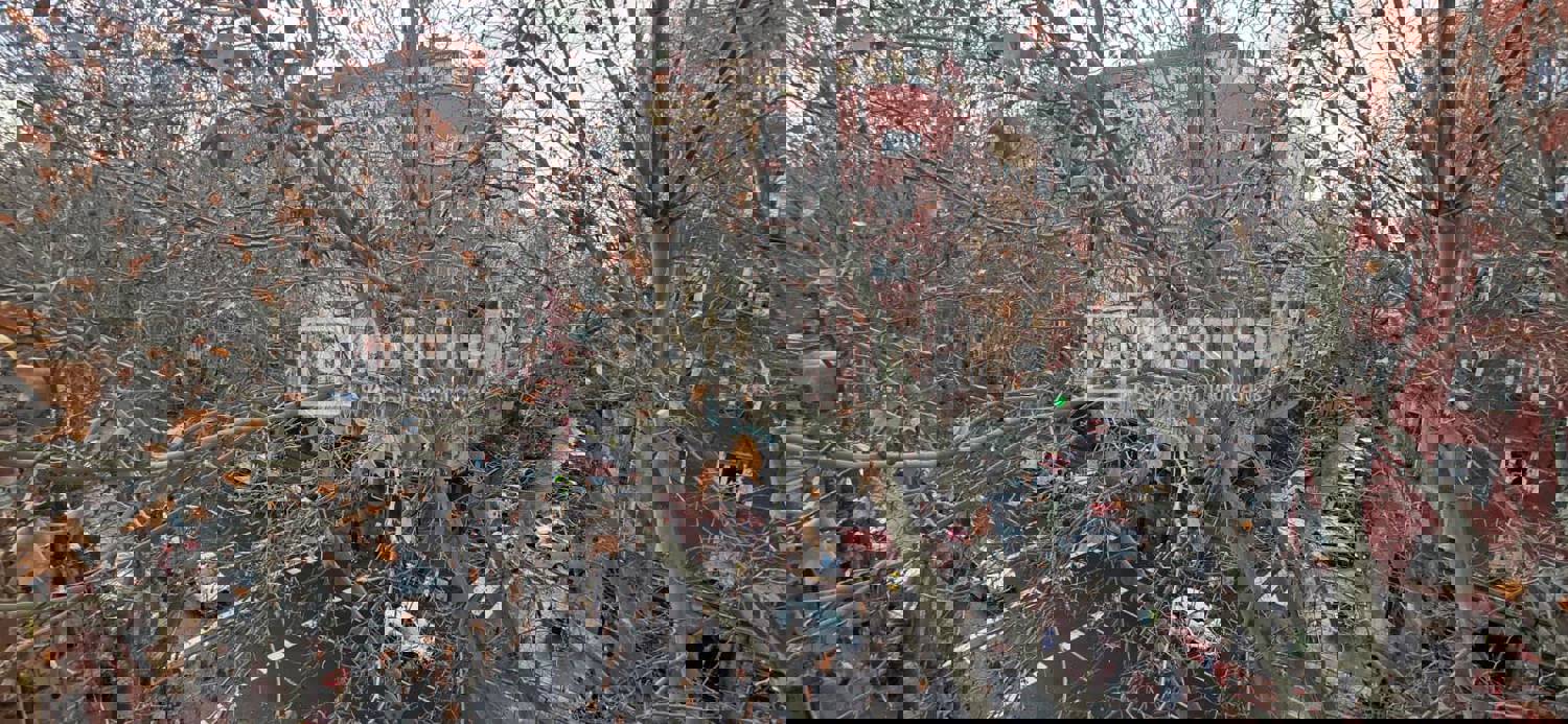 Piso en venta en Paseo de las Delicias, Delicias, Arganzuela, Madrid ...