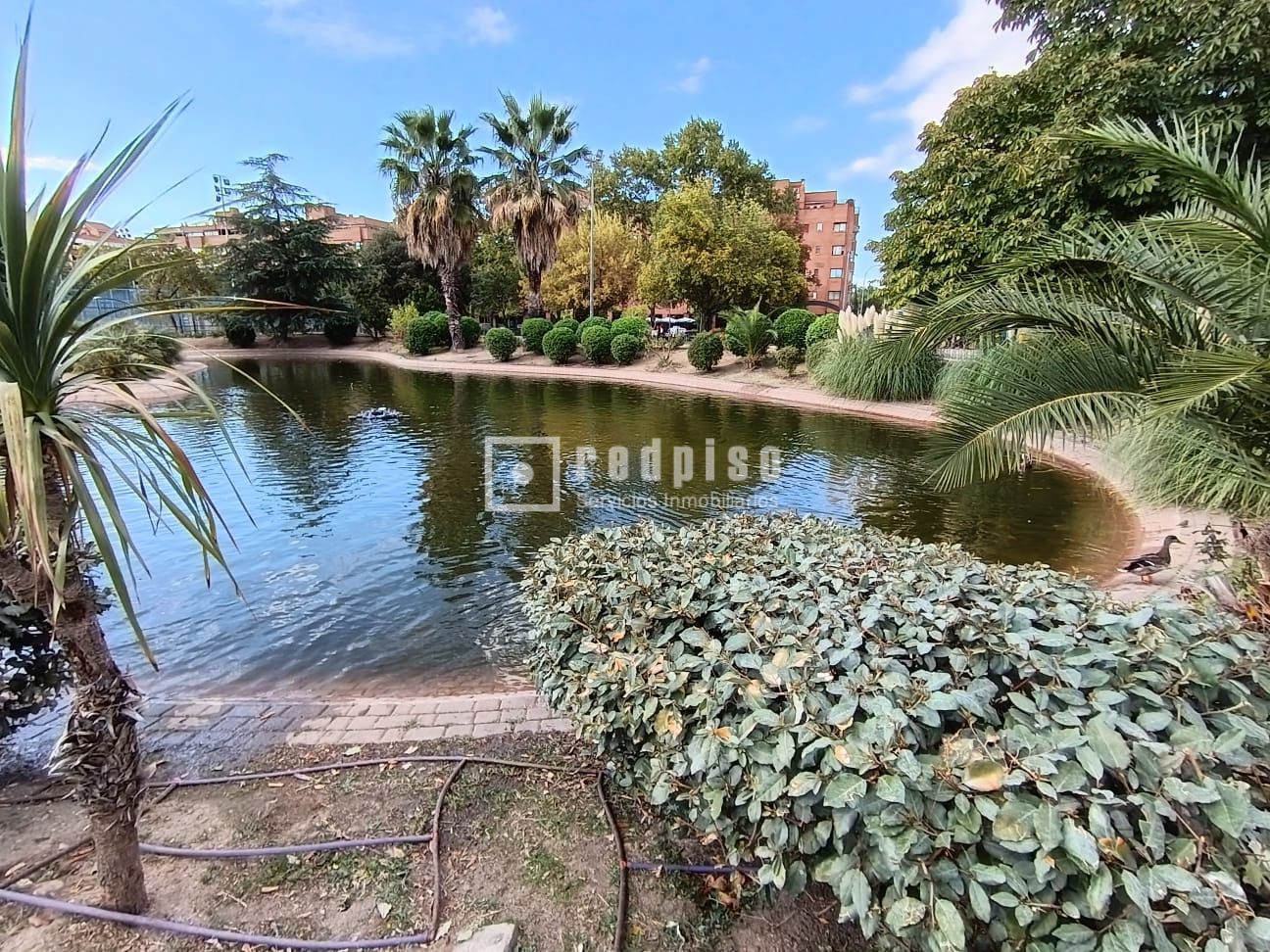 Piso en venta en  Torrejón de Ardoz, Madrid  1/1