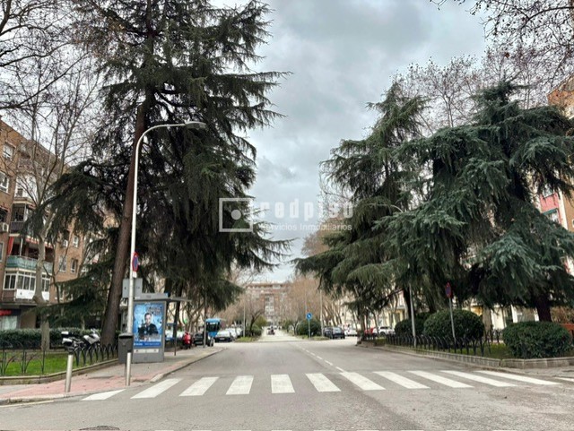 Local en alquiler en plaza De San Amaro, Tetuán, Madrid 2/16