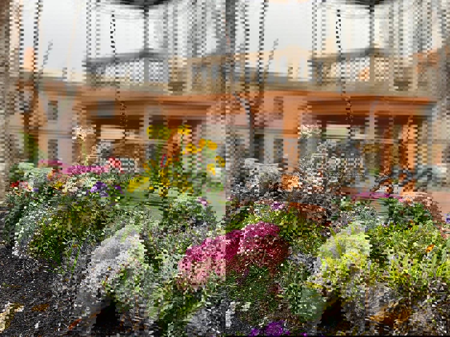 Casa en venta en calle Riansares, La Villa De Don Fadrique, Toledo 36/37