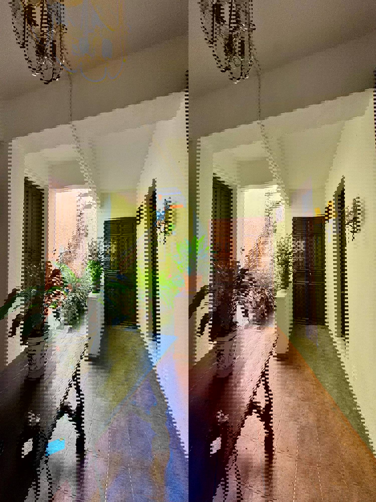 Casa en venta en  Icod de los Vinos, Santa Cruz de Tenerife  43/43