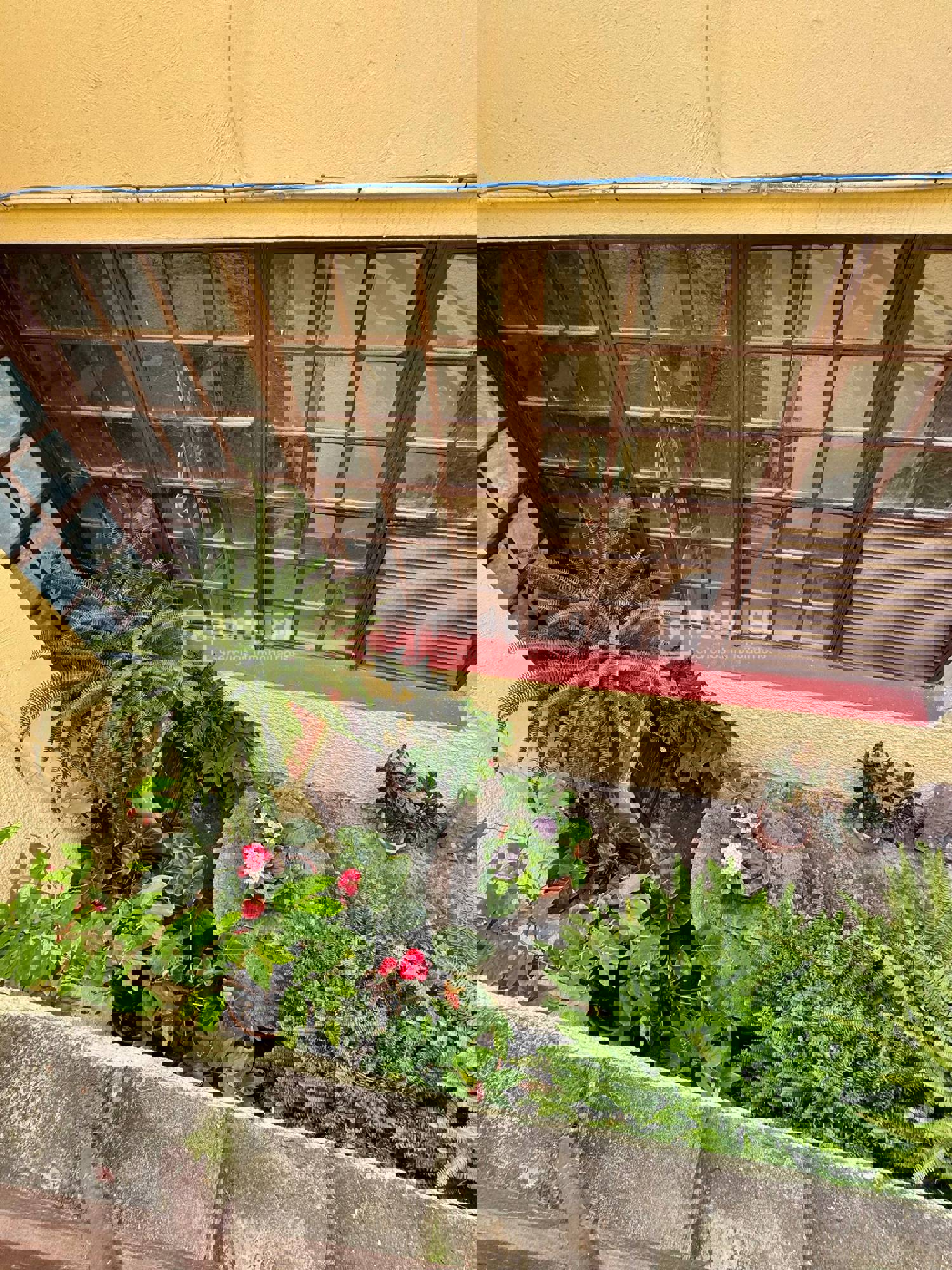 Casa en venta en  Icod de los Vinos, Santa Cruz de Tenerife  9/43