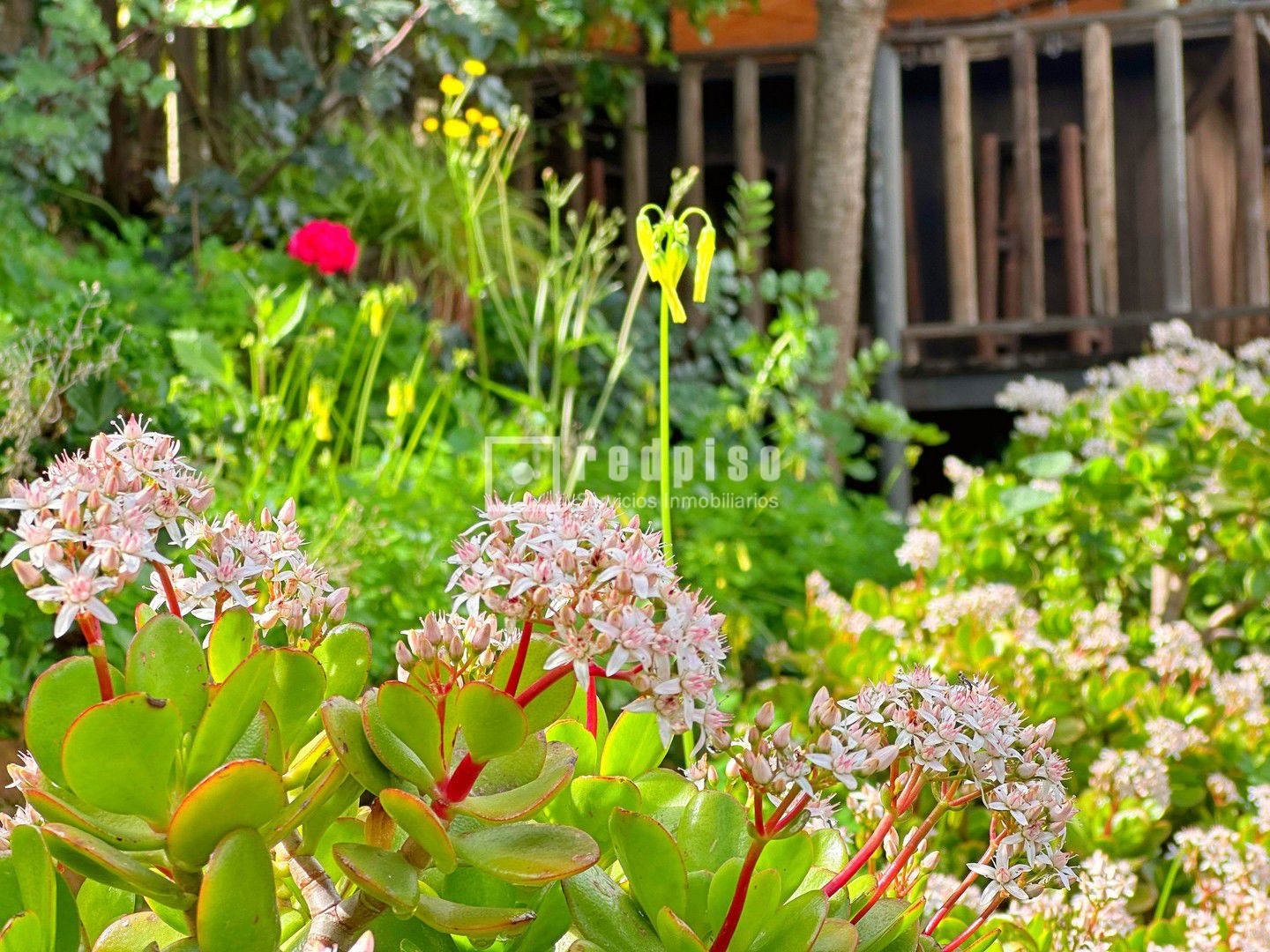 Casa en venta  calle Diseminados, Almogía  26/42