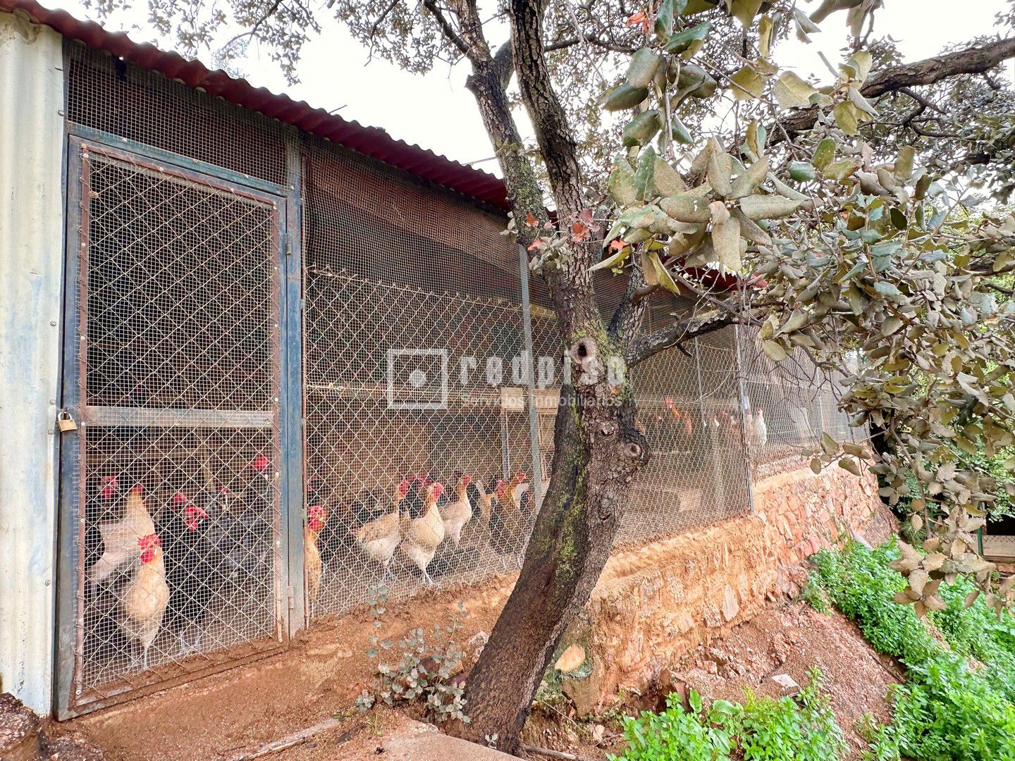 Casa en venta  calle Diseminados, Almogía  37/42