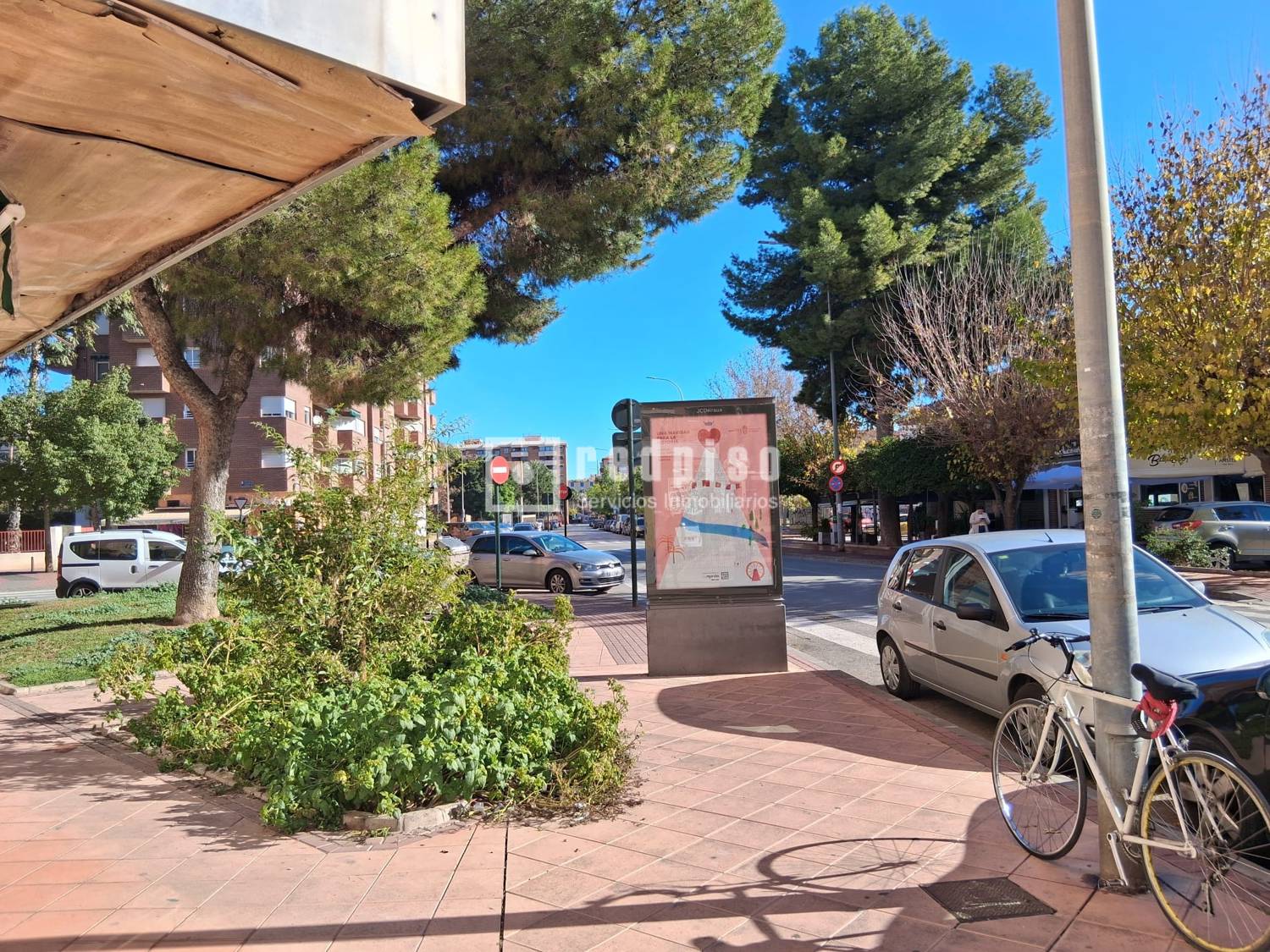 Local en alquiler en calle Sauce, Murcia, Murcia 15/15