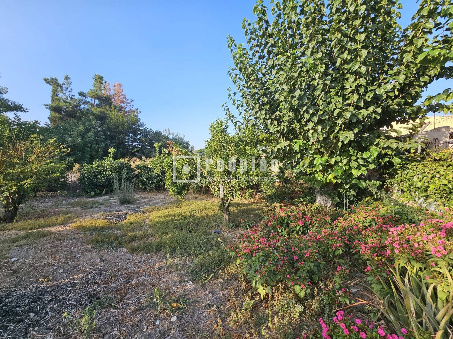 Casa en venta  calle Carril la Romera, Murcia  2/10