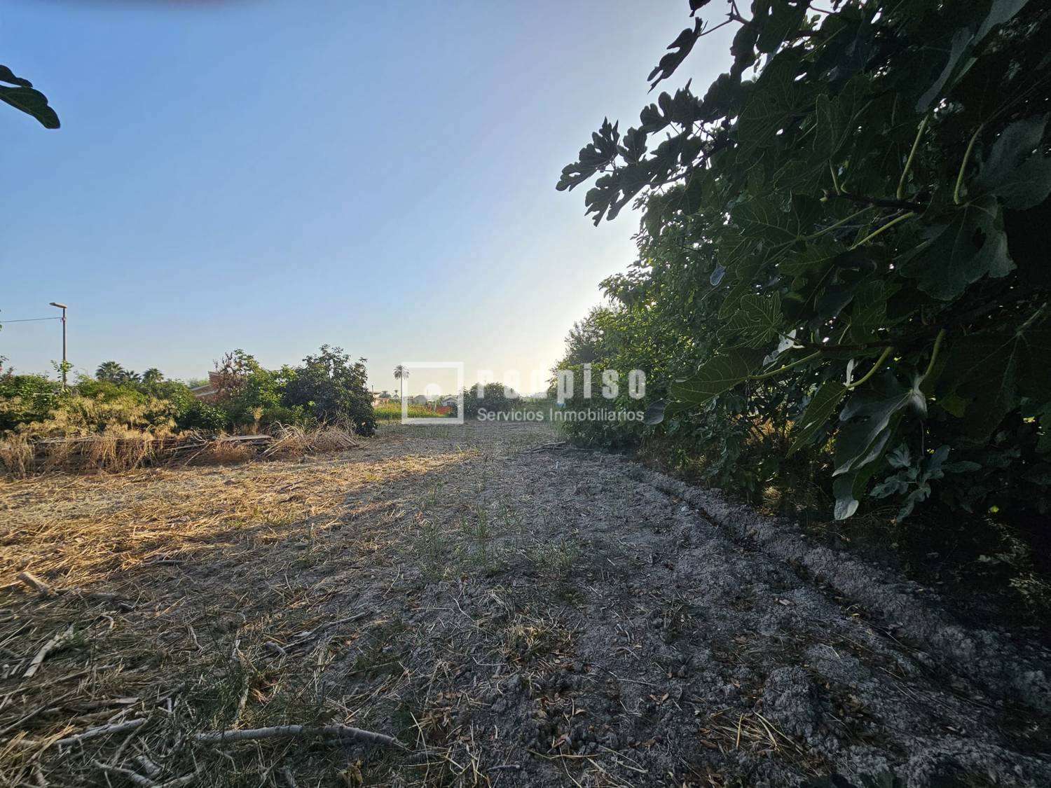 Casa en venta  calle Carril la Romera, Murcia  6/10