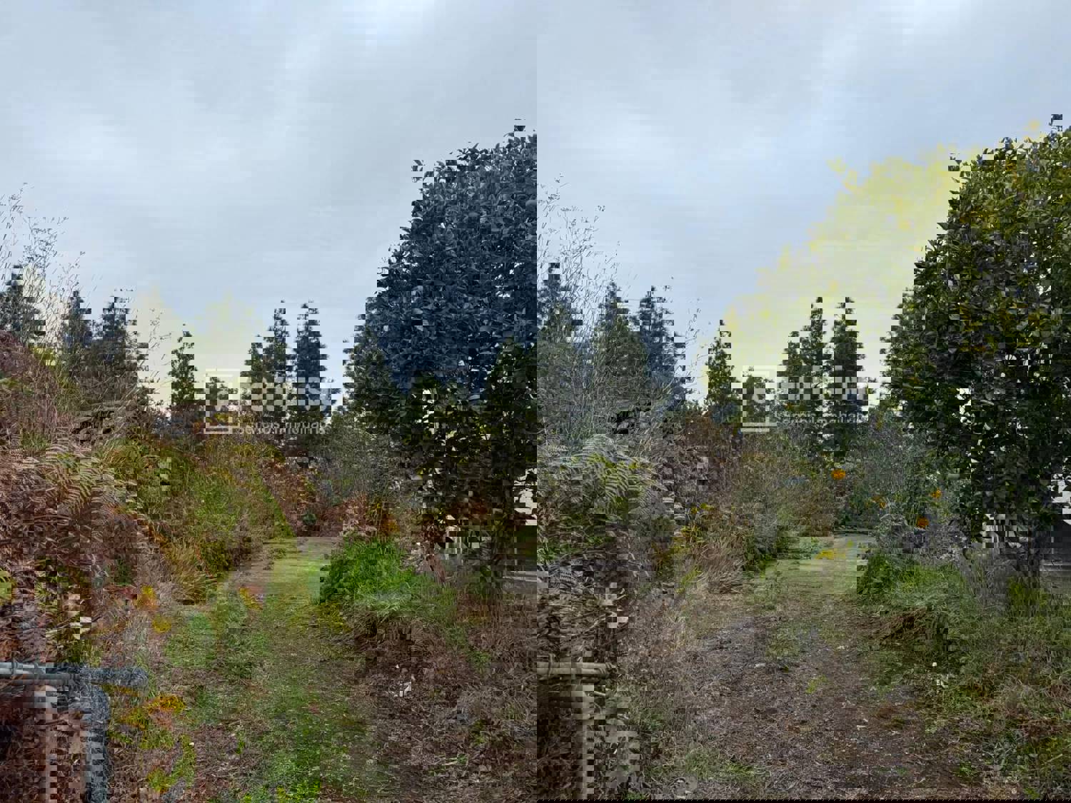 Casa en venta en  calle Redondo, Icod de los Vinos, Santa Cruz de Tenerife  14/40