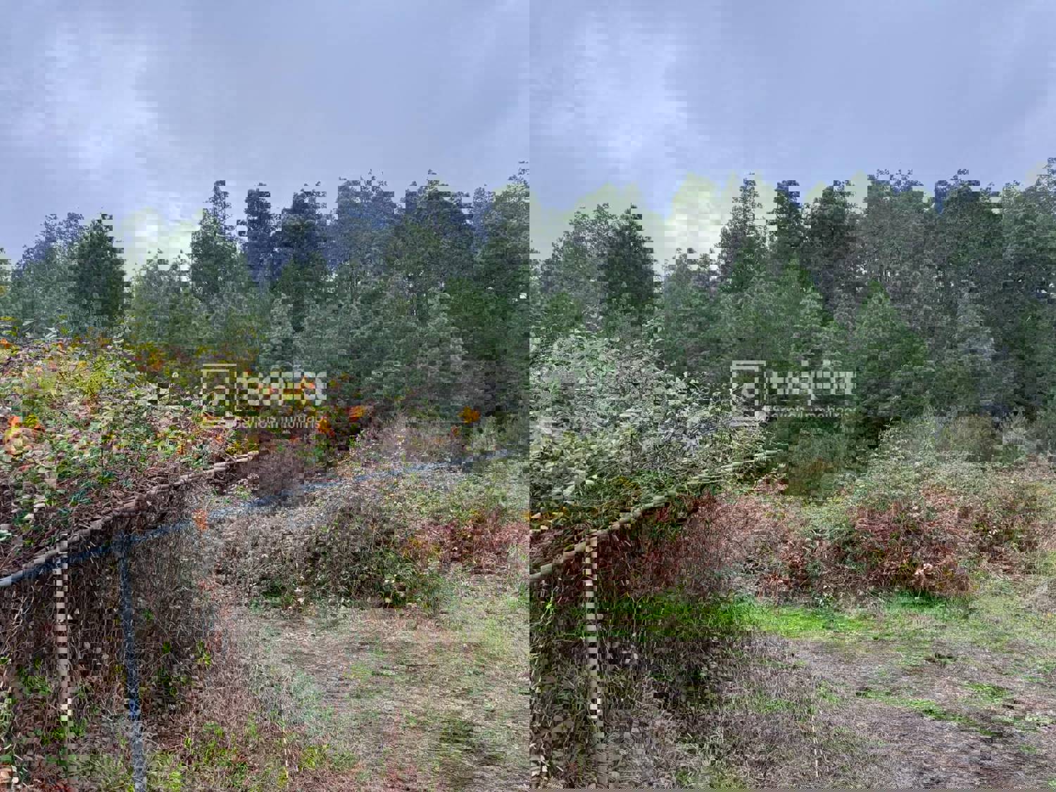 Casa en venta en  calle Redondo, Icod de los Vinos, Santa Cruz de Tenerife  27/40