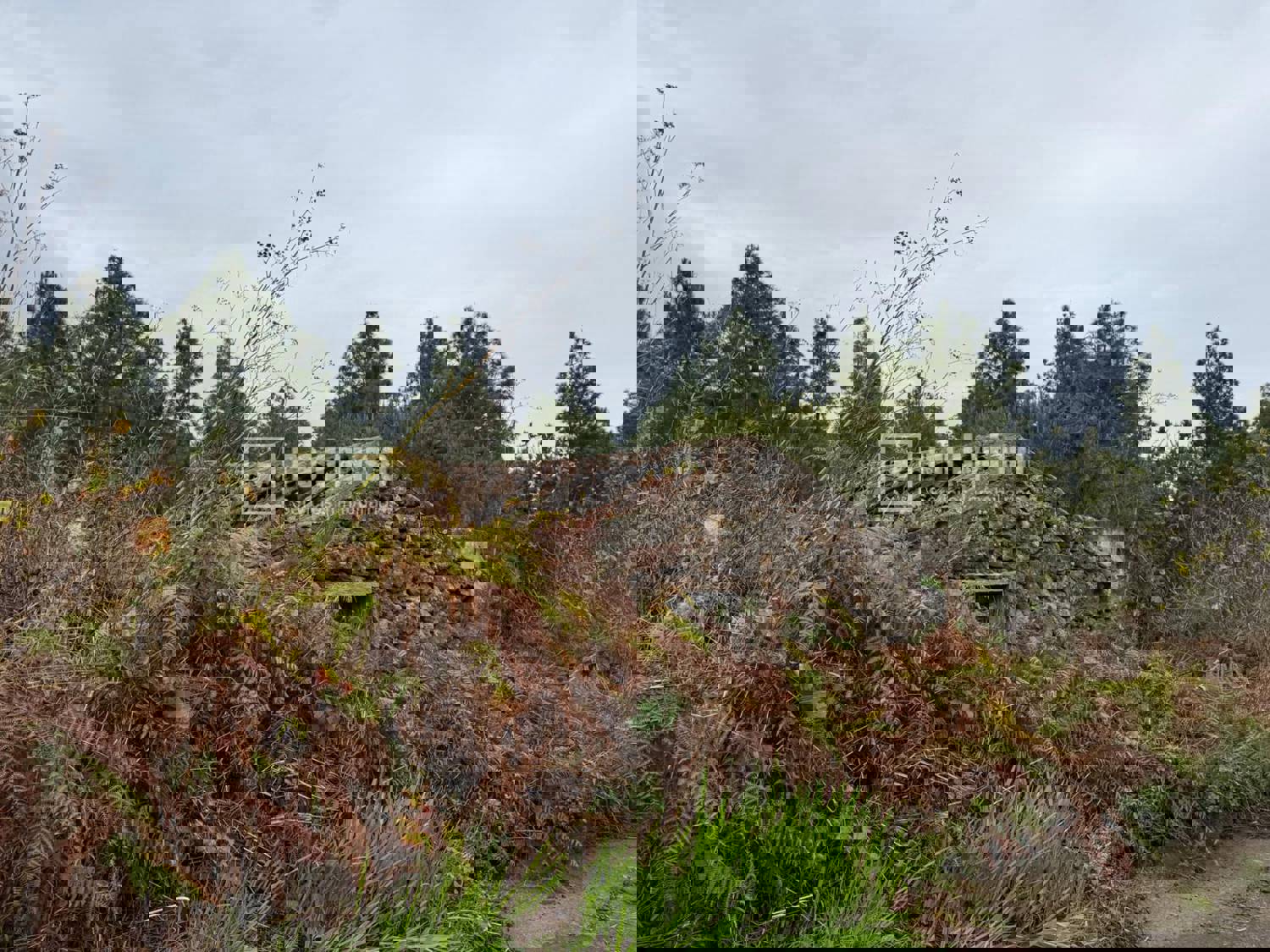 Casa en venta en  calle Redondo, Icod de los Vinos, Santa Cruz de Tenerife  24/40