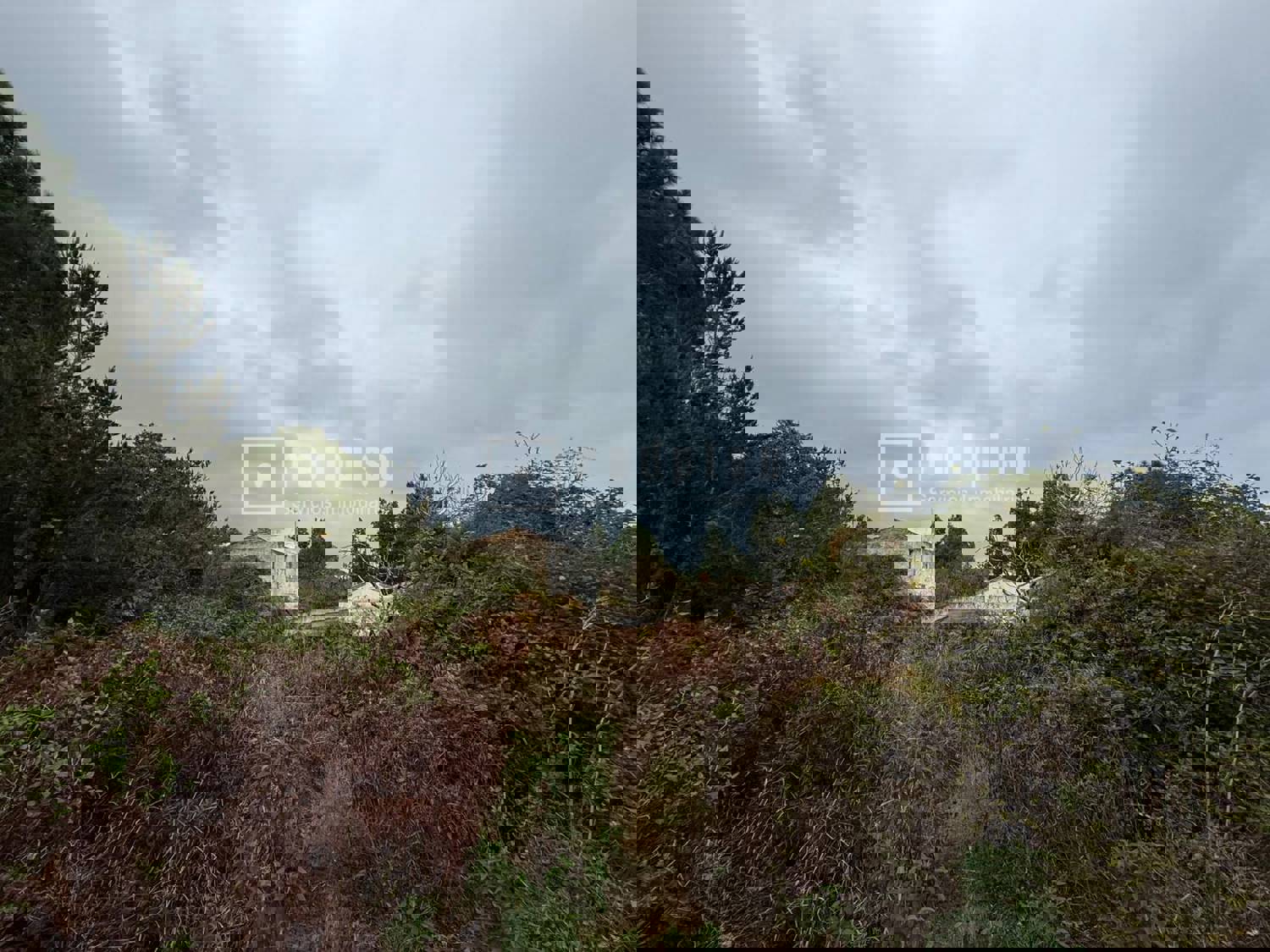 Casa en venta en  calle Redondo, Icod de los Vinos, Santa Cruz de Tenerife  4/40