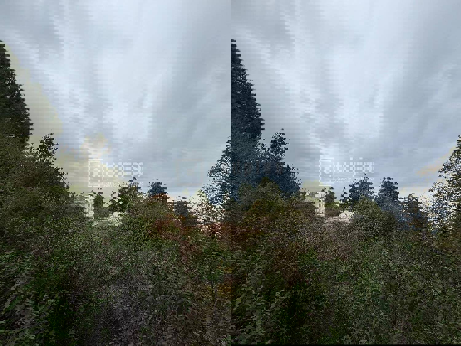 Casa en venta en  calle Redondo, Icod de los Vinos, Santa Cruz de Tenerife  2/40