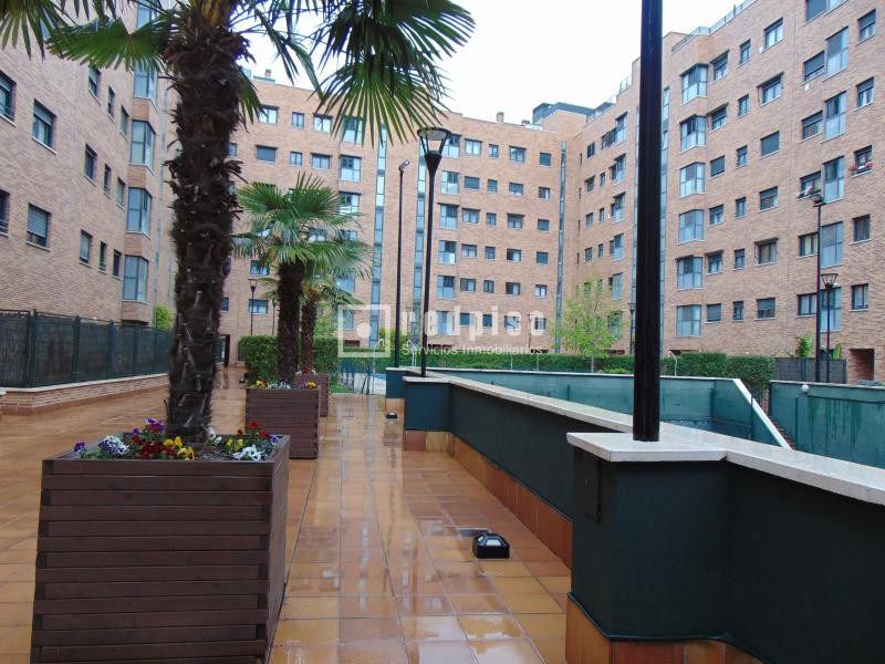 Piso en alquiler en  avenida de Niceto Alcalá Zamora, Madrid  37/39