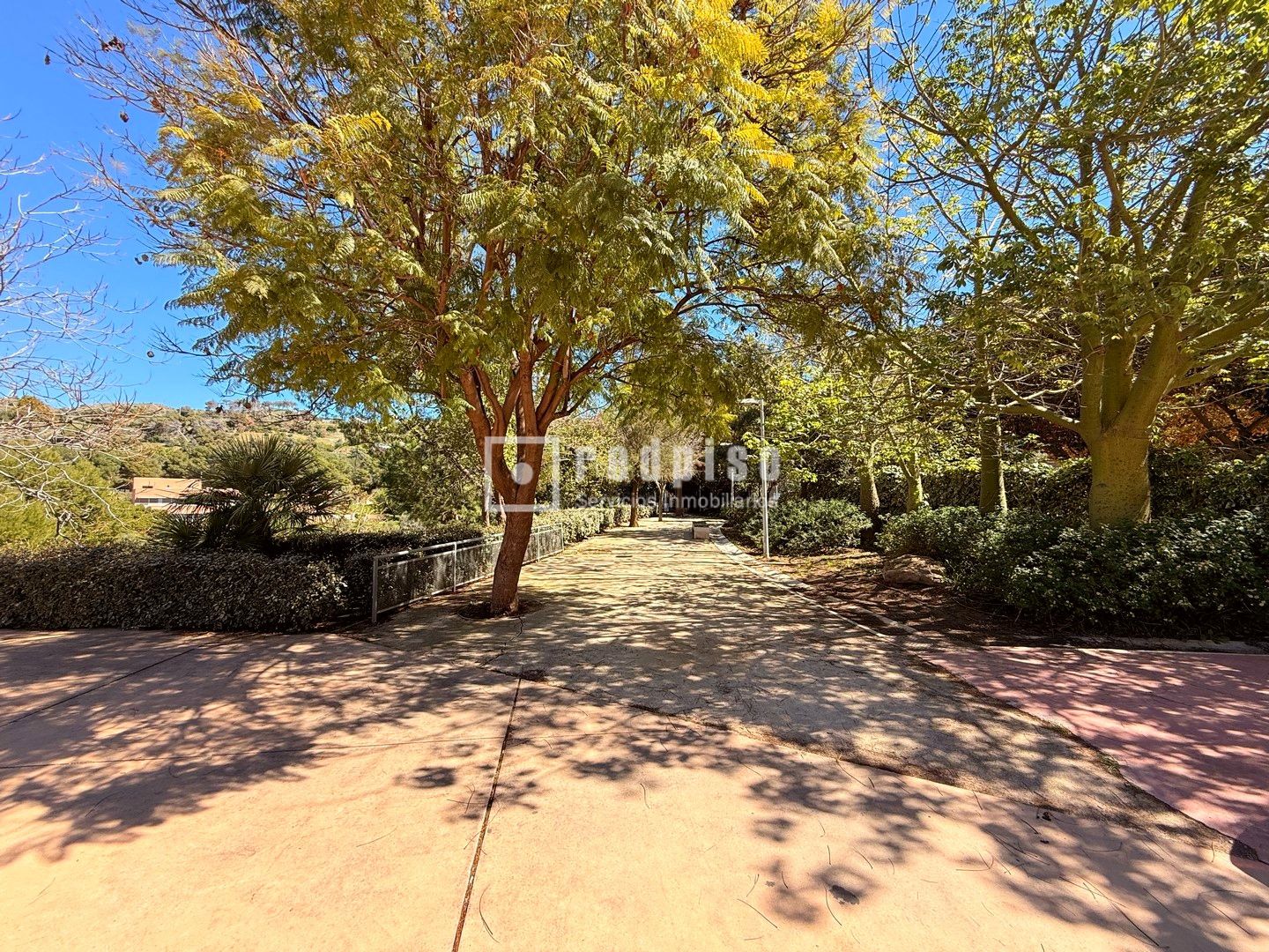 Piso en venta en calle Lágrima, Ciudad Jardín, Málaga 9/19