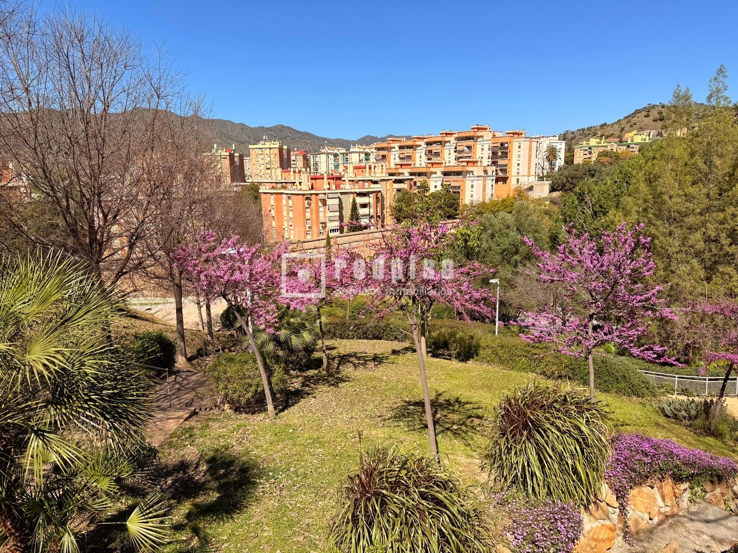 Piso en venta en calle Lágrima, Ciudad Jardín, Málaga 12/19