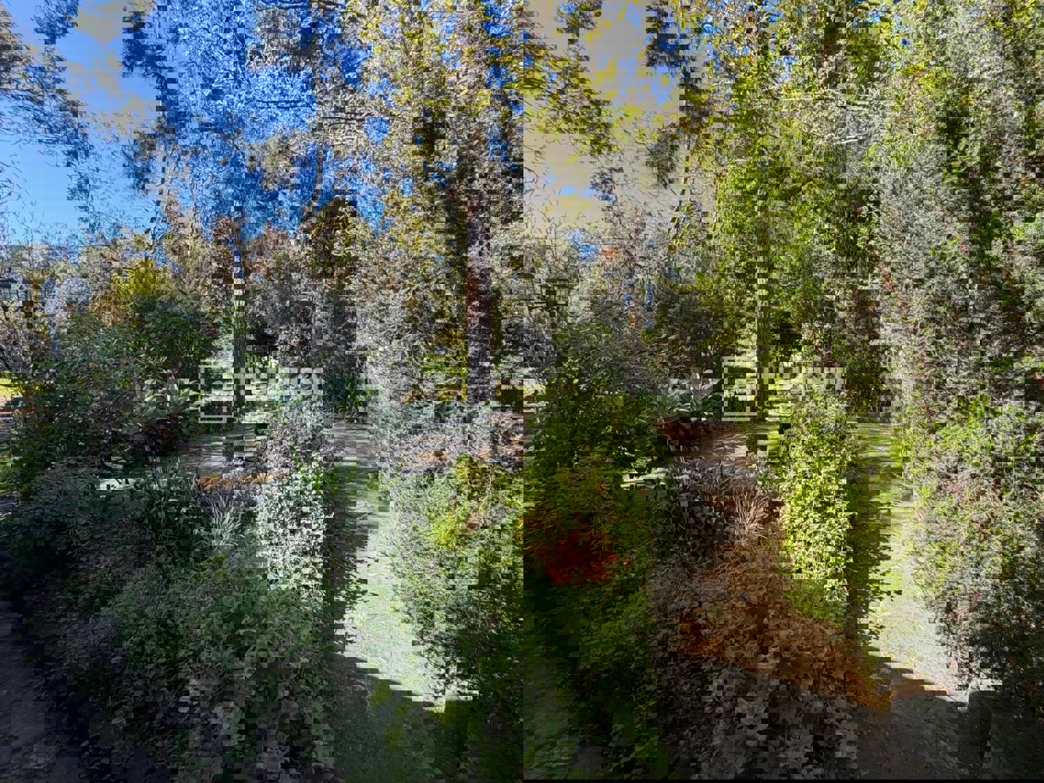 Casa en venta en  El Sauzal, Santa Cruz de Tenerife  25/46