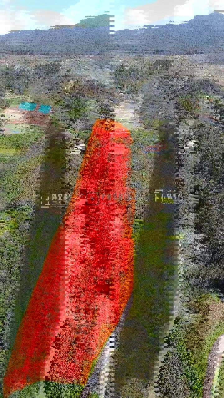 Casa en venta en  El Sauzal, Santa Cruz de Tenerife  44/46