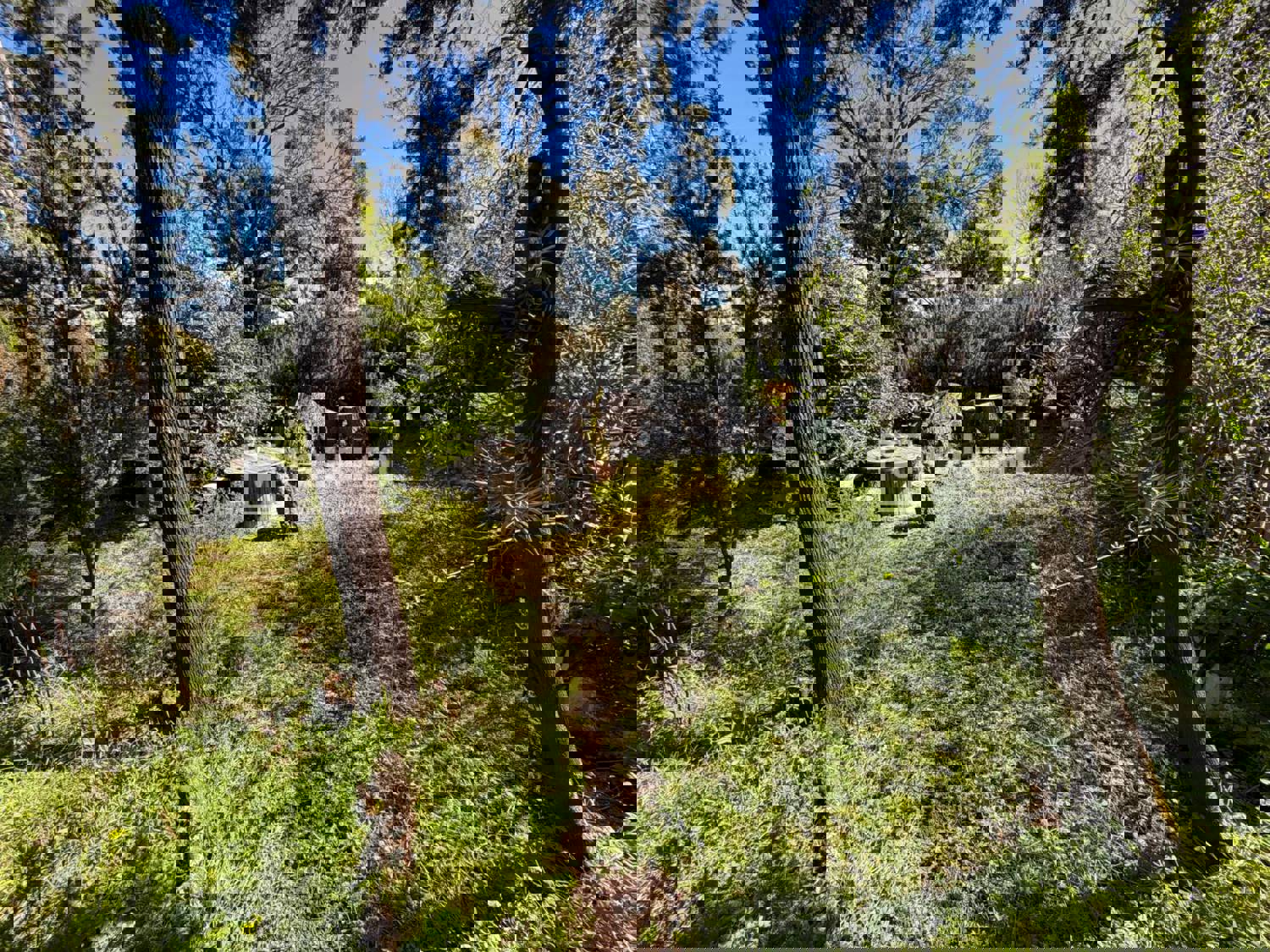 Casa en venta en  El Sauzal, Santa Cruz de Tenerife  35/46