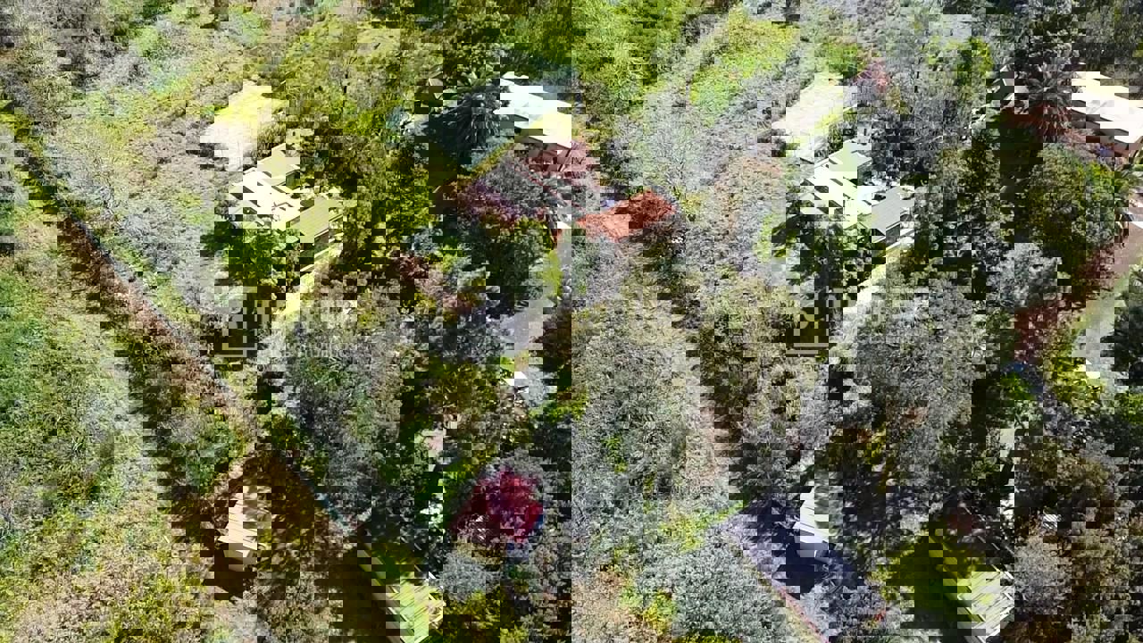 Casa en venta en  El Sauzal, Santa Cruz de Tenerife  41/46