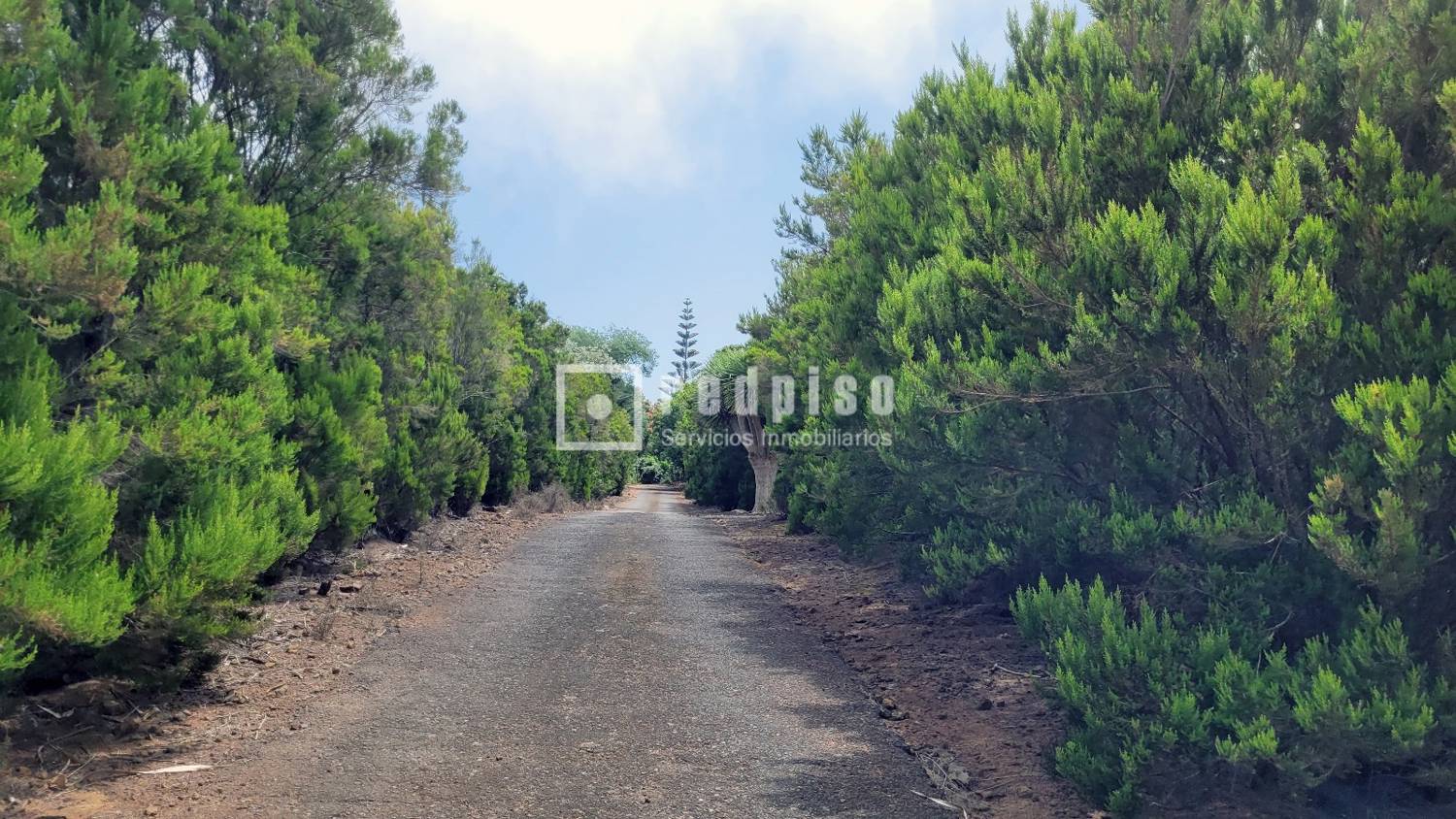 Casa en venta en  El Sauzal, Santa Cruz de Tenerife  2/46