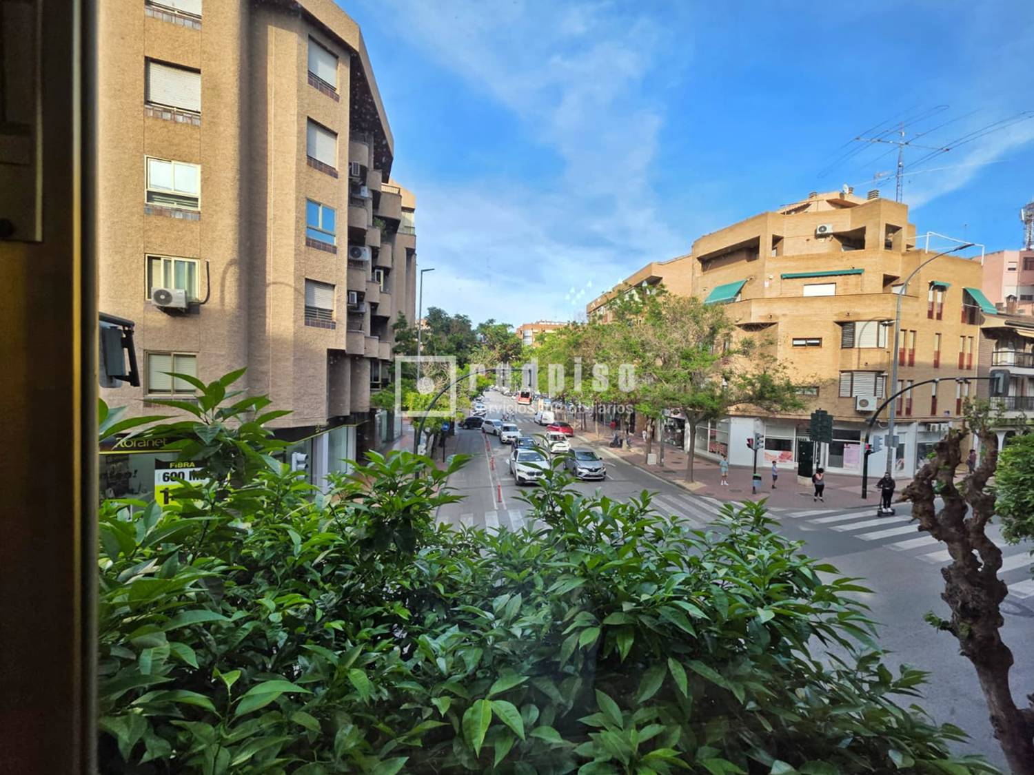 Piso en alquiler  Murcia  1/1