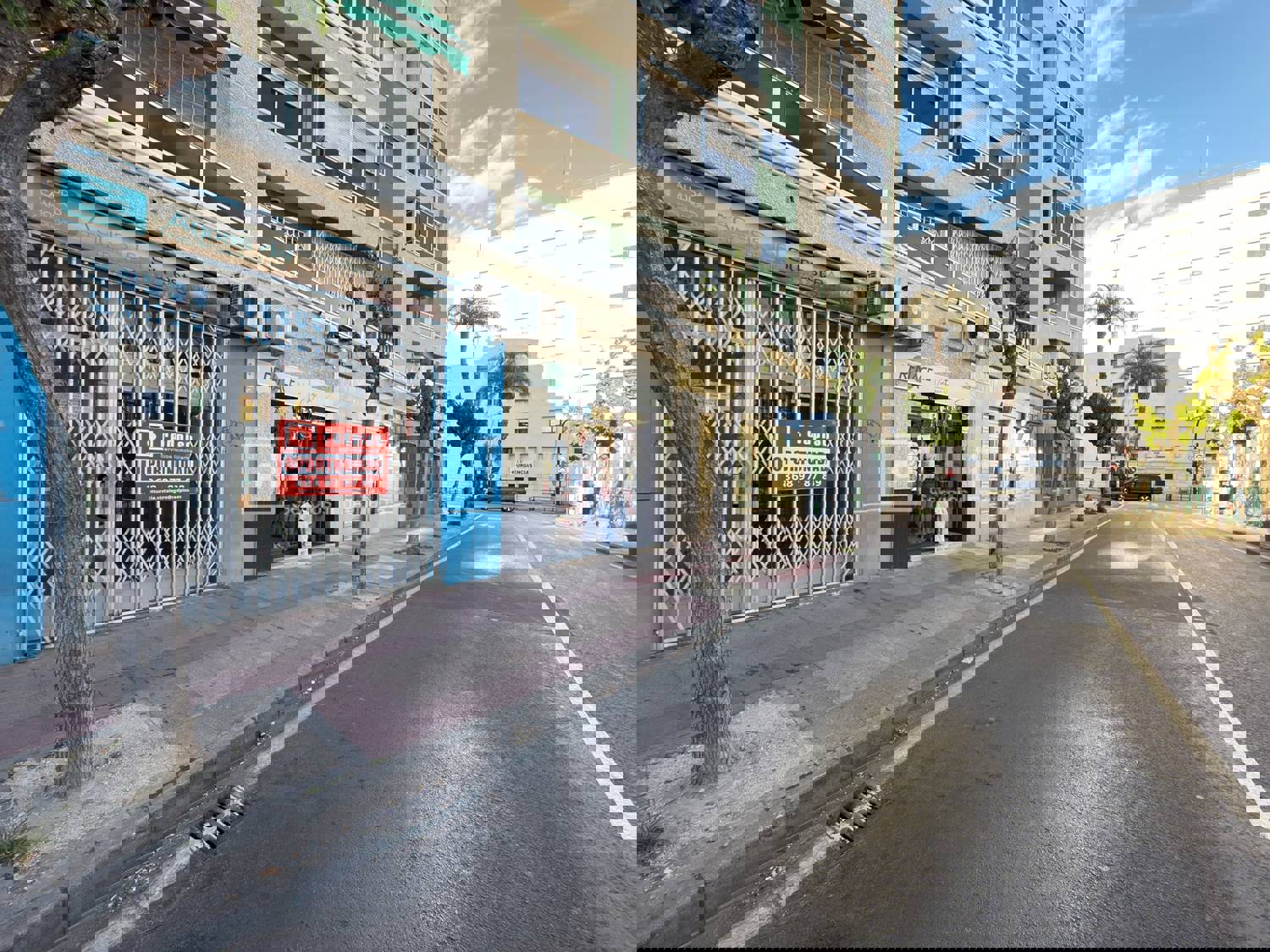 Local en alquiler en  calle Nuestra Señora de los Buenos Libros, Murcia  1/1