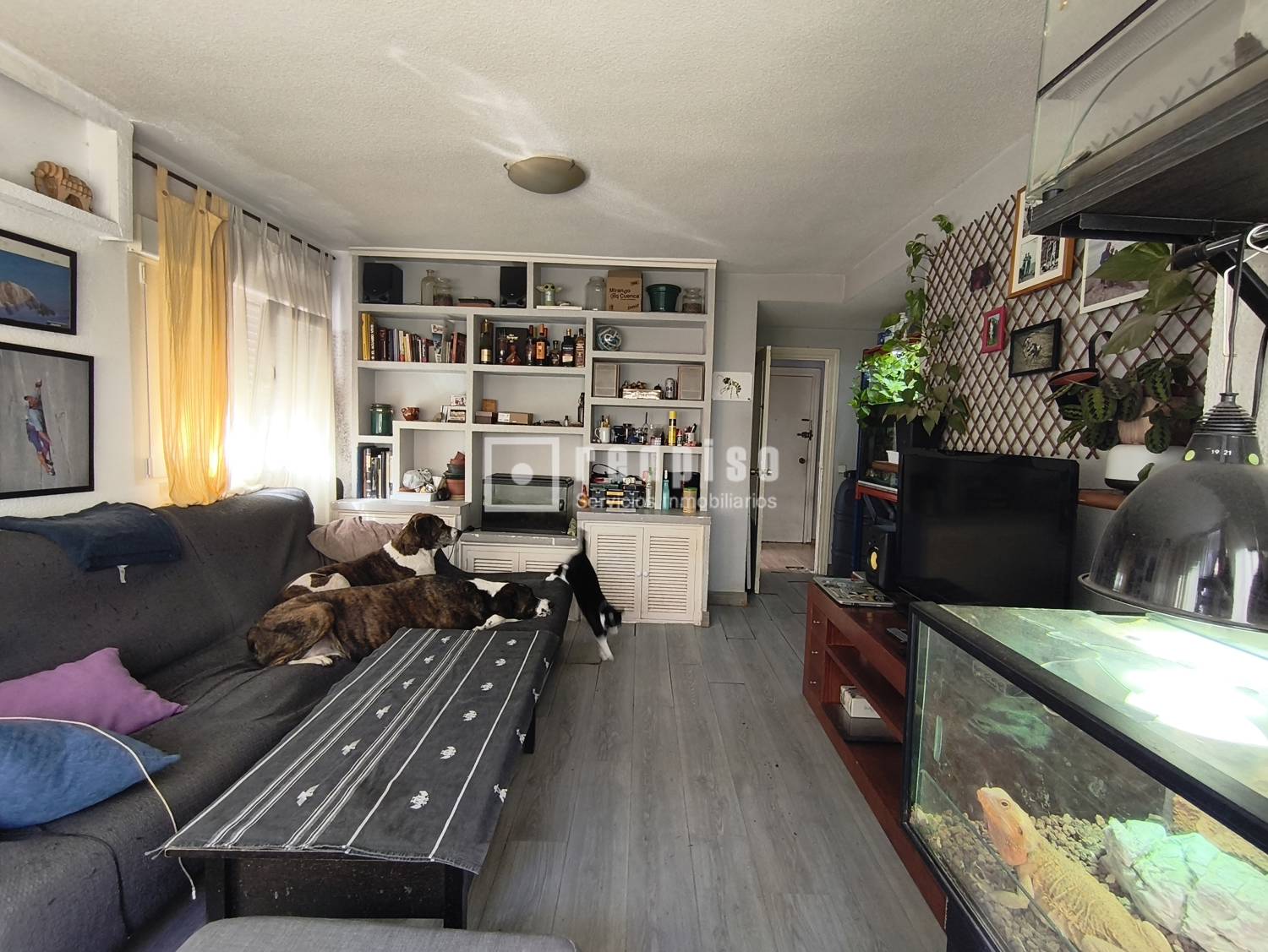 Piso en venta en  calle de Valdevarnes, Madrid  1/1