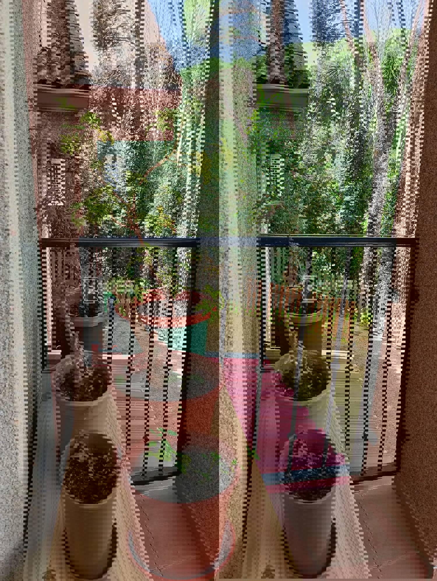 Casa en venta en  calle del Arroyo la Salinera, Navas del Rey, Madrid  18/40