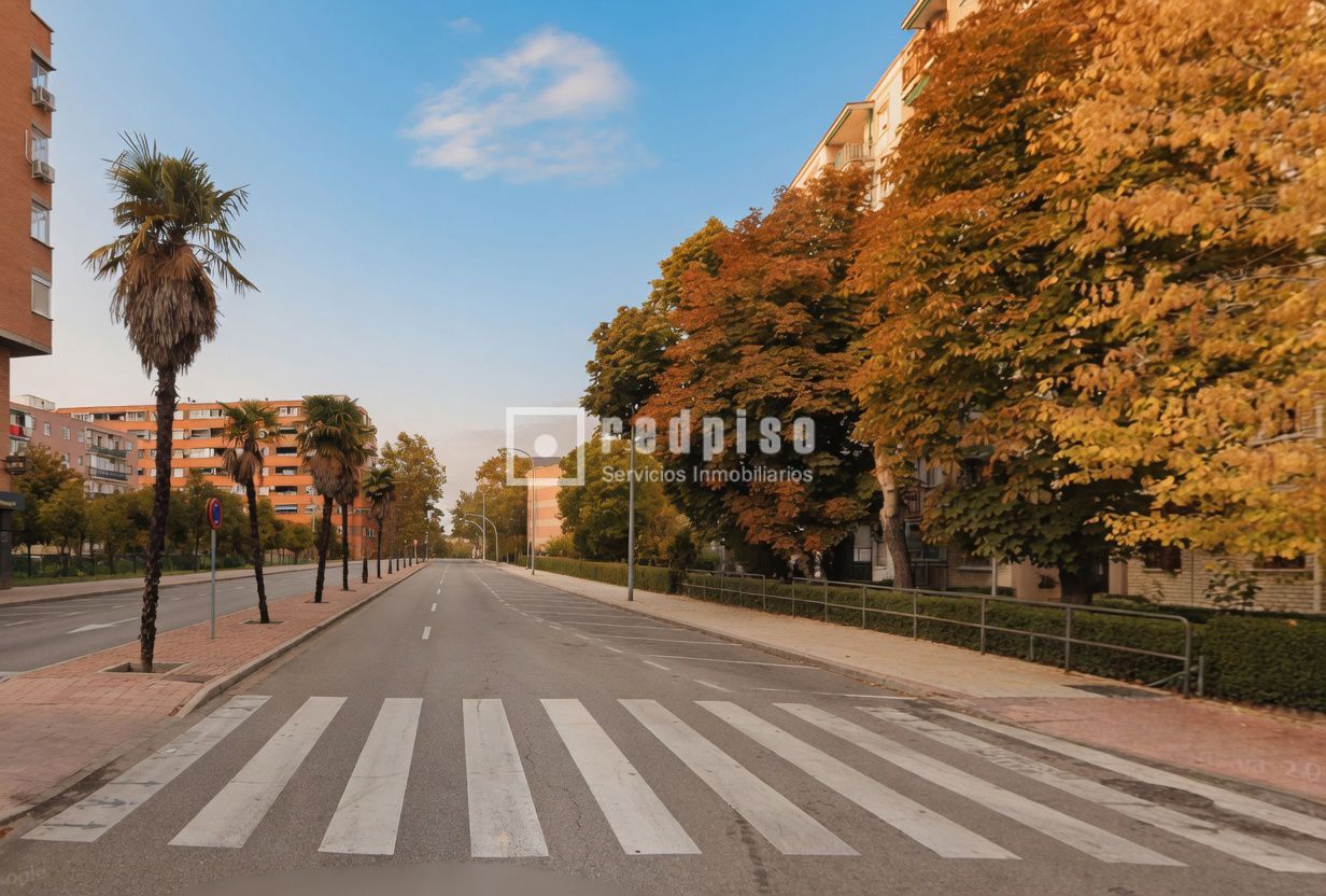 Piso en venta en Alcorcón, Madrid 14/20