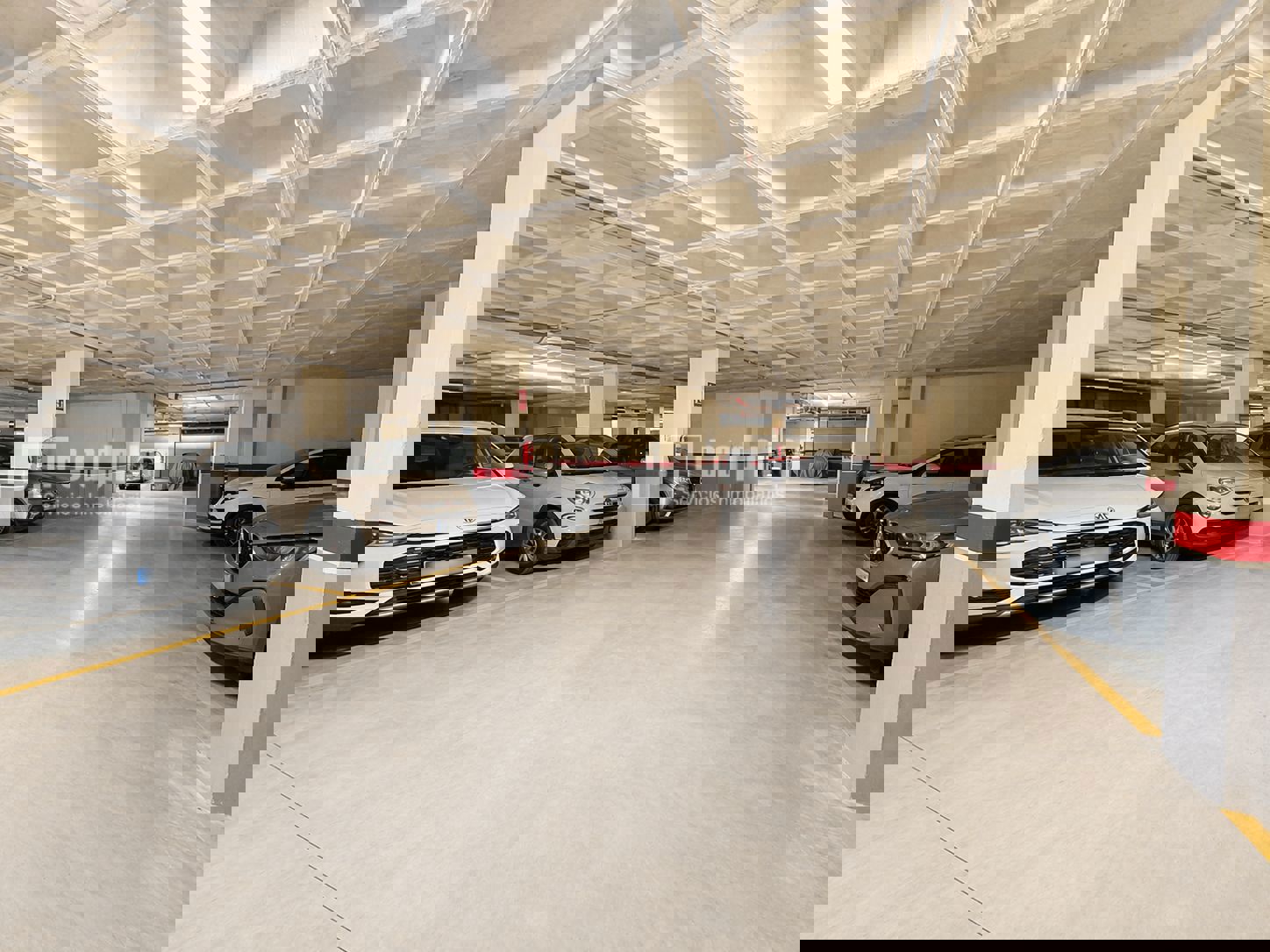 Piso en alquiler en Murcia 13/14