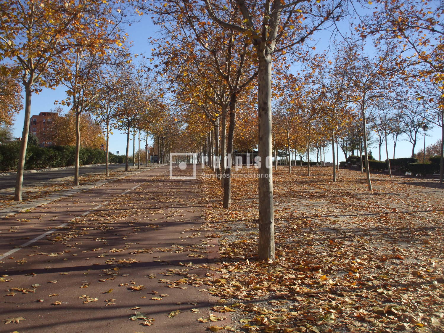 Local en venta en Madrid 12/18