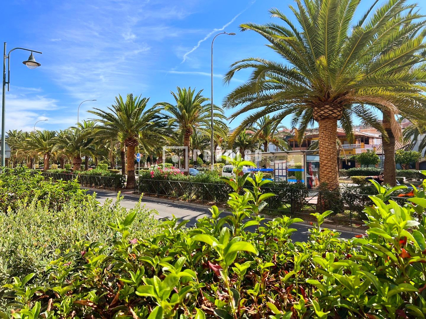 Edificio en venta en  calle los Ficus, Ciudad Jardín, Málaga  15/20