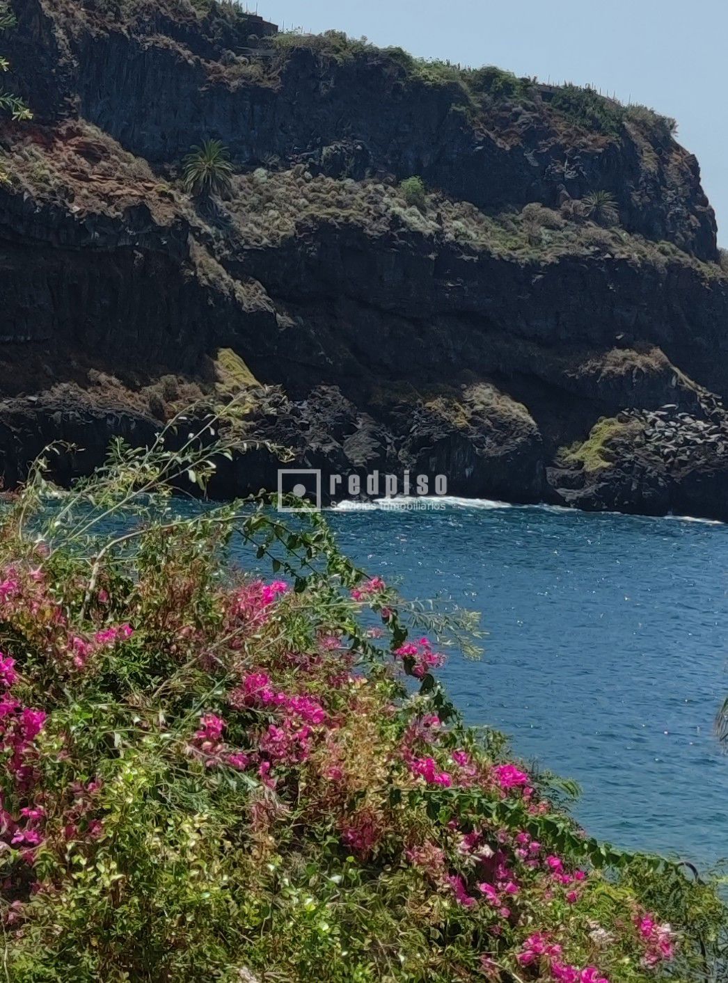 Piso en venta en  Icod de los Vinos, Santa Cruz de Tenerife  3/8