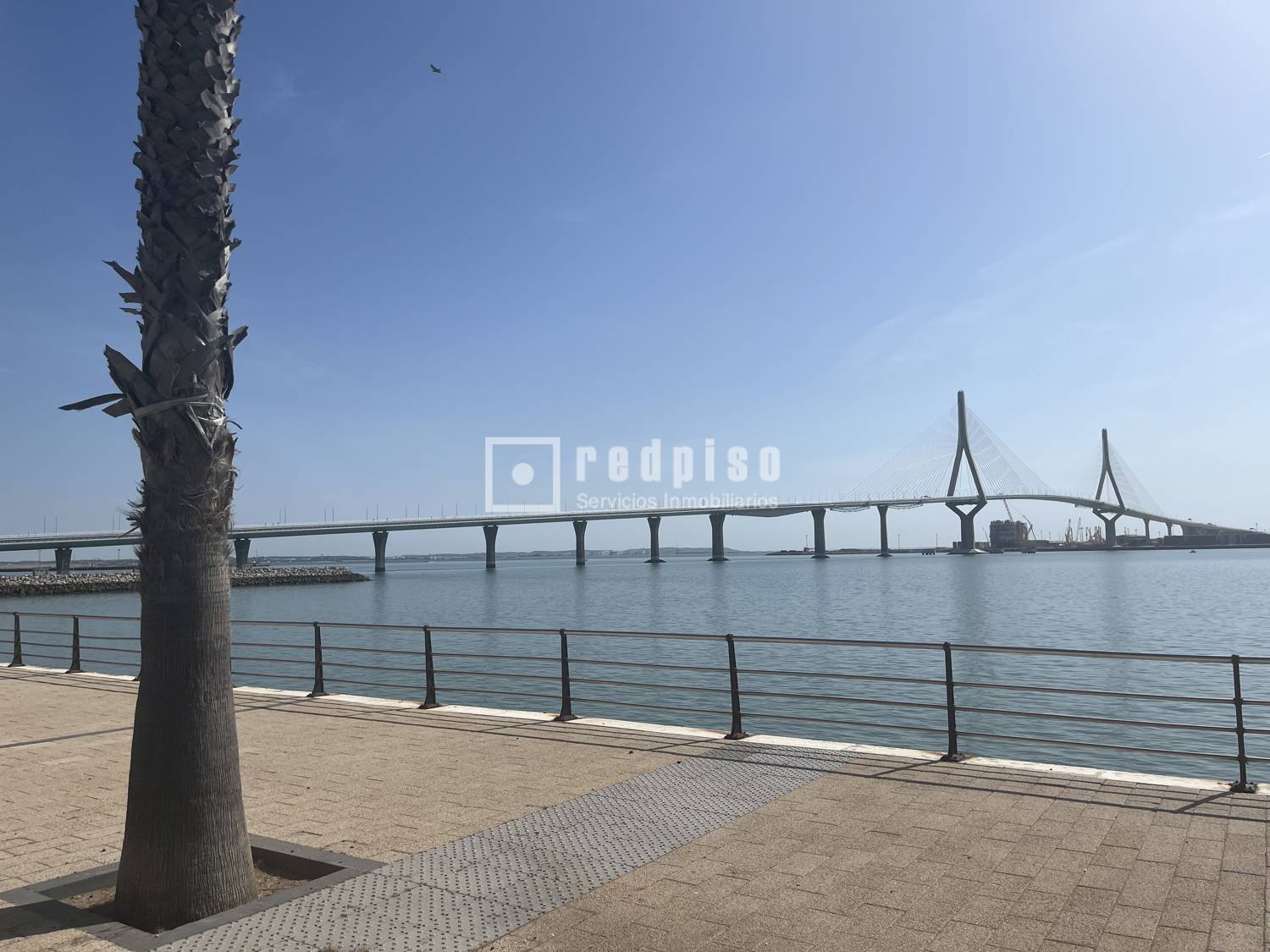 Piso en alquiler en Cádiz 15/16